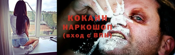 крисы Ельня