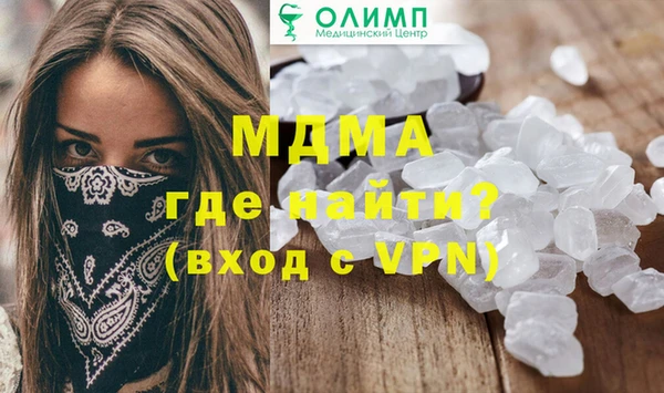 индика Богородицк