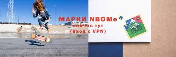 индика Богородицк