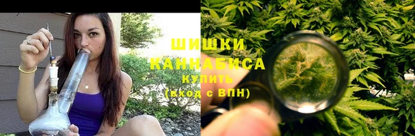 индика Богородицк