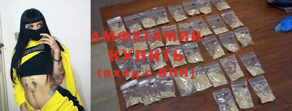 индика Богородицк